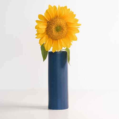 Yellow sunflower in a blue vase on a white background